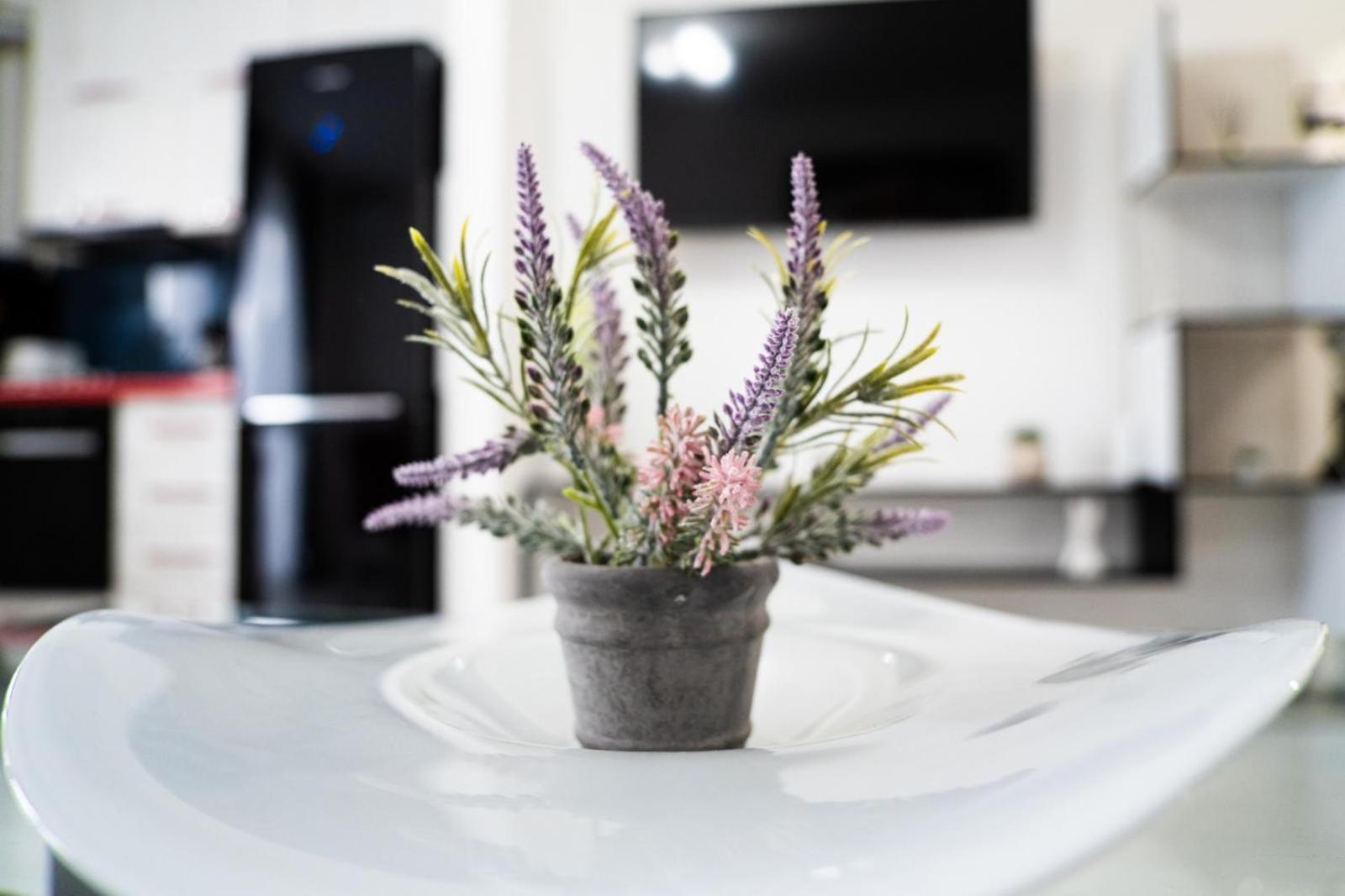 Easy Stay Maurer Residence Târgu-Mureş Extérieur photo