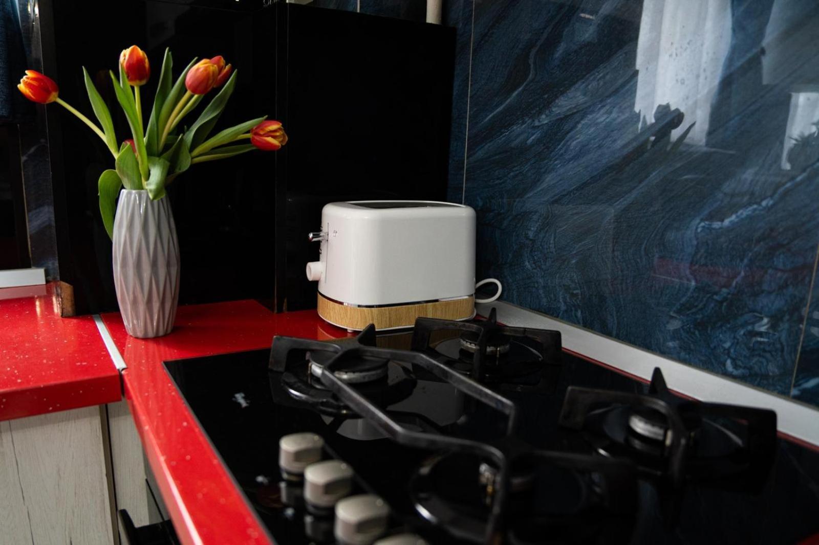 Easy Stay Maurer Residence Târgu-Mureş Extérieur photo
